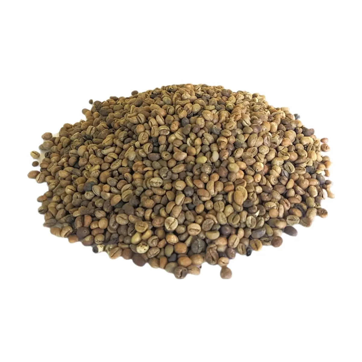 Café criollo despulpado en granos secos La Finca (1 kg / 2.2 lb) - Thumbnail 2