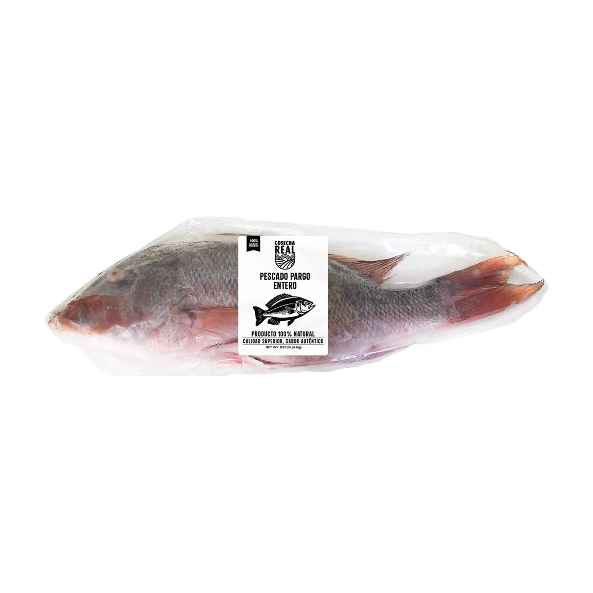 Pescado pargo entero Cosecha Real (4 kg / 8.81 lb) - Thumbnail 3