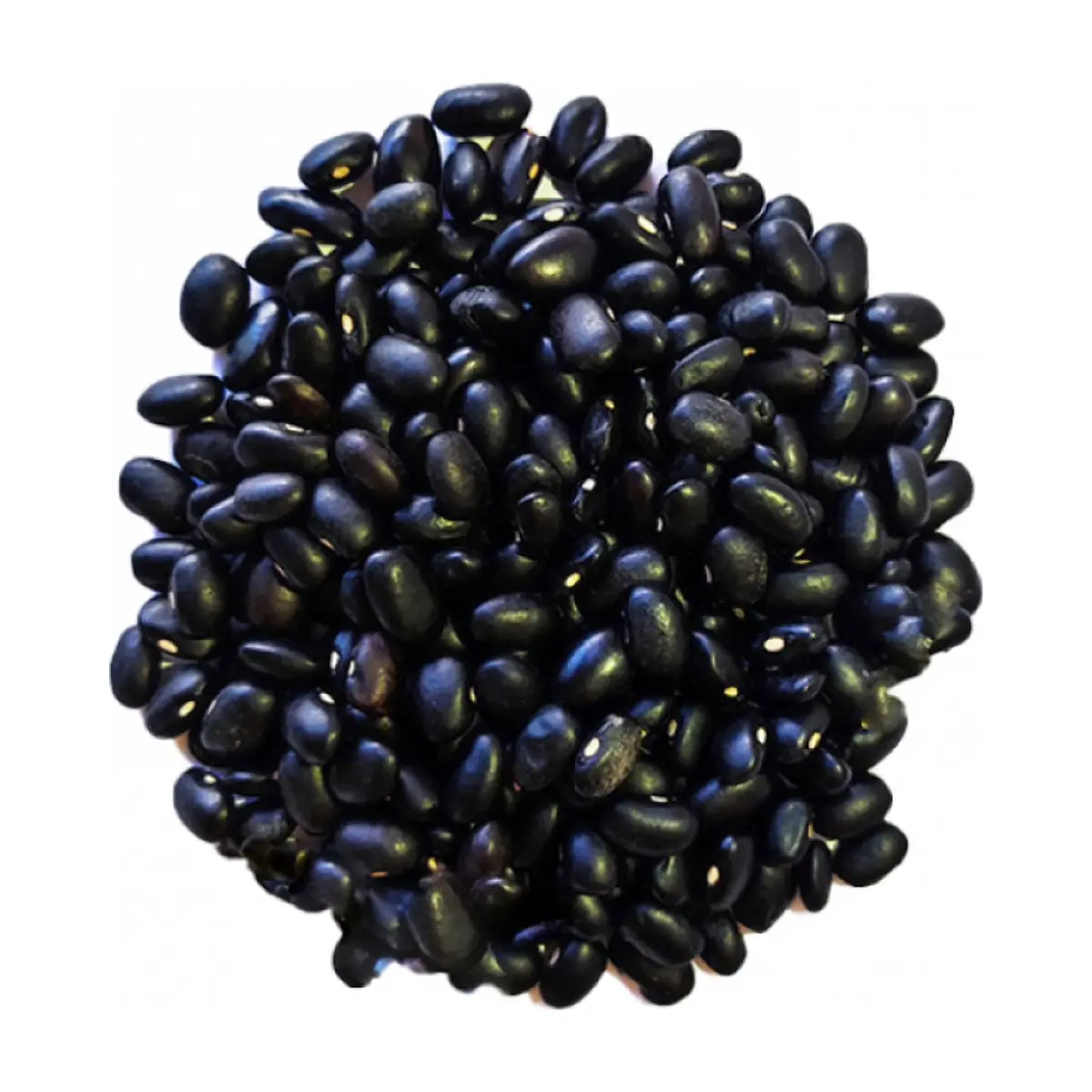 Frijoles negros Campo Vivo (4.54 kg / 10 lb) - Thumbnail 2