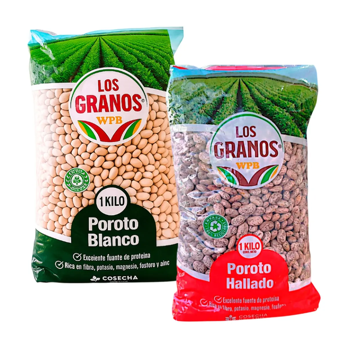 Combo:  Poroto blancos + Poroto hallado