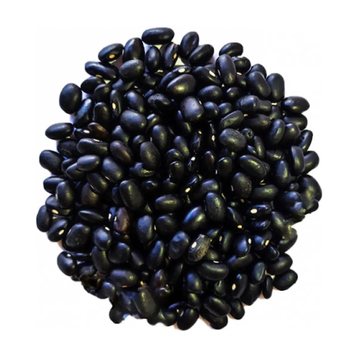 Frijoles negros Campo Vivo (2.26 kg / 5 lb) - Thumbnail 2