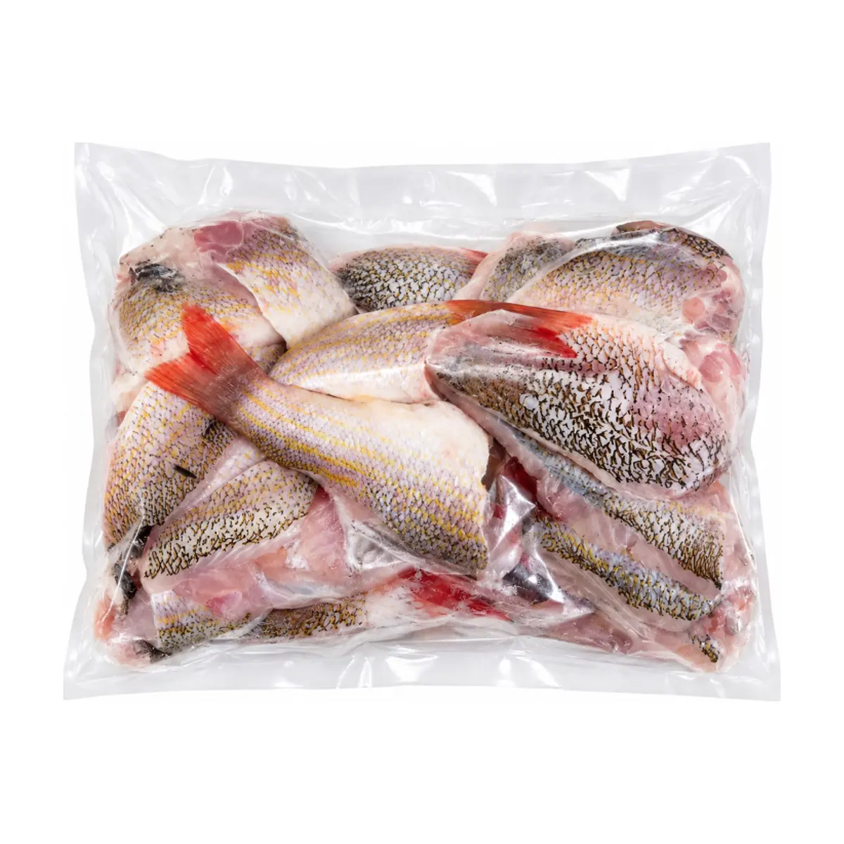 Minuta de pescado cubera MCH (1.36 kg / 3 lb) - Thumbnail 3
