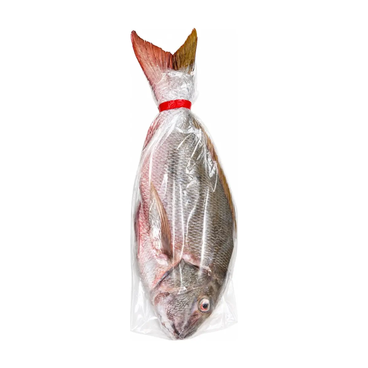 Pargo limpio congelado Pruébalo (1 kg / 2.2 lb) - Thumbnail 3