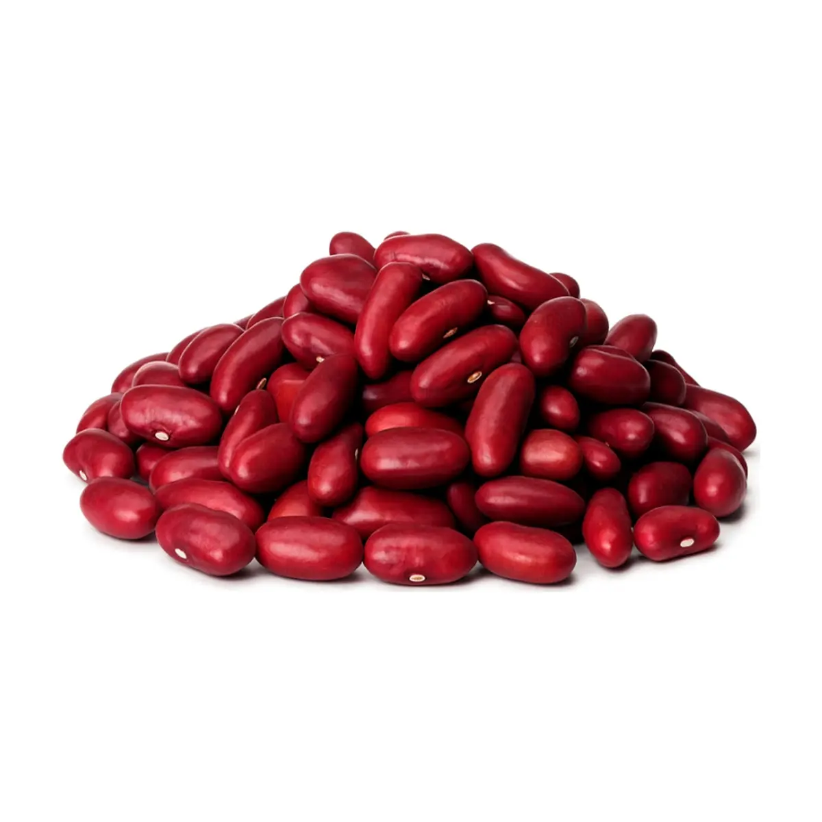 Frijoles colorados IJM Maya (454 g / 1 lb) - Thumbnail 2