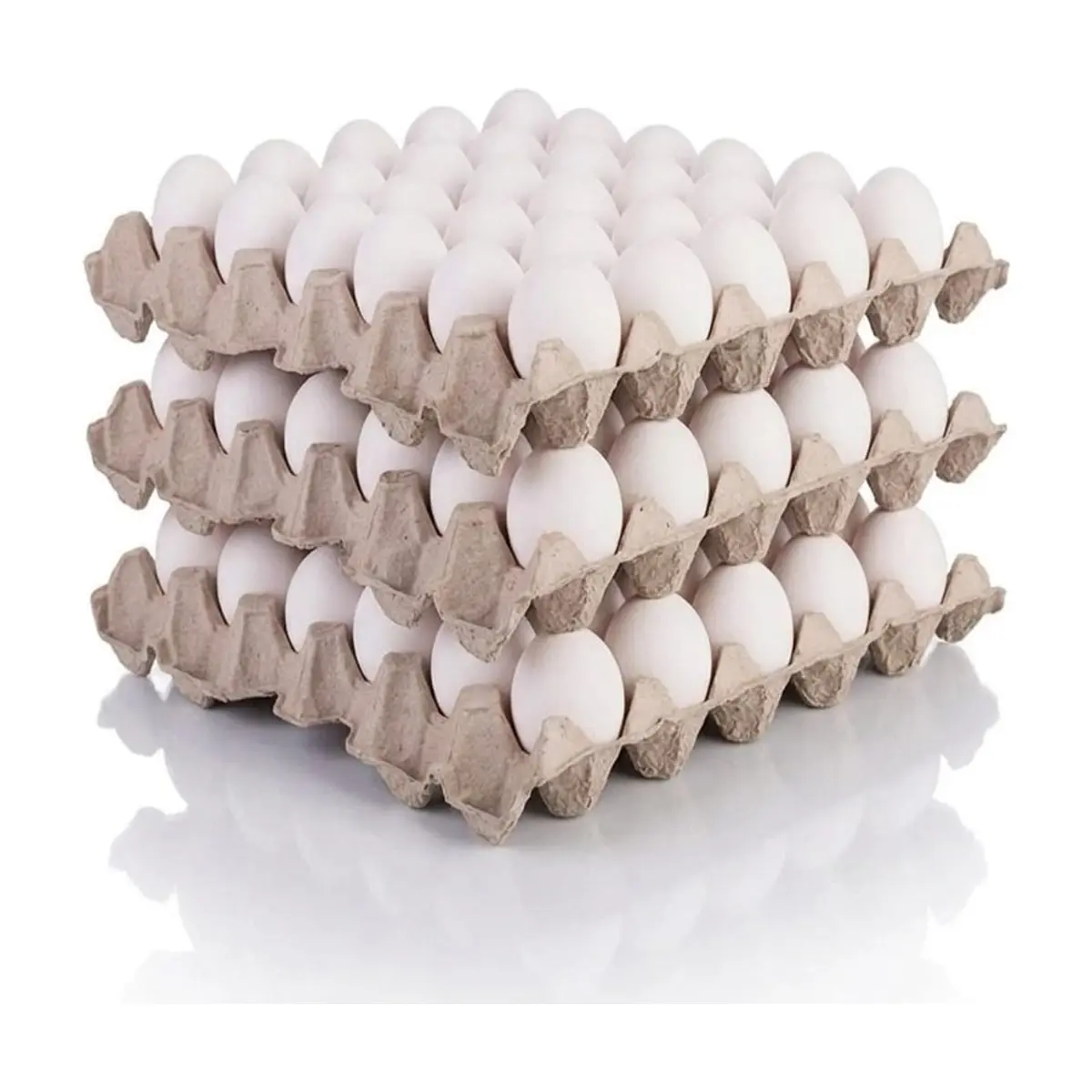 Huevo blanco orgánico e importado Peco (3 x 30 U)