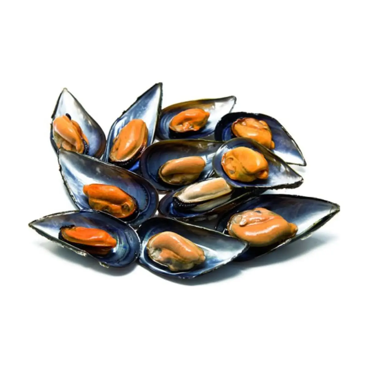 Mejillón de Galicia (1kg) WOFCO