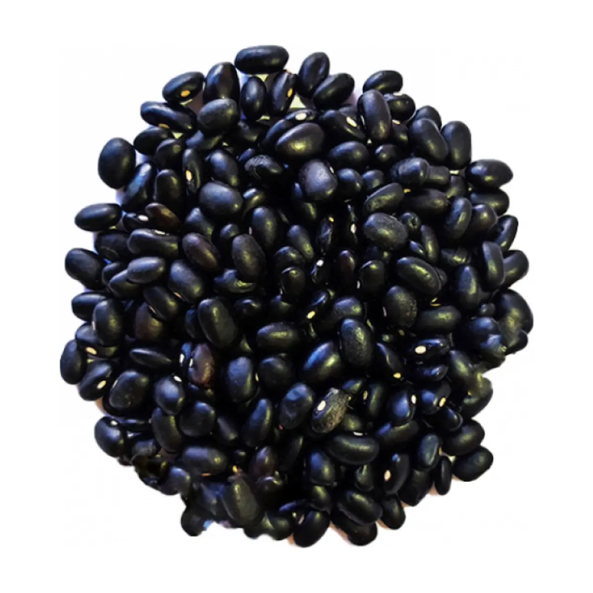 Frijoles negros Campo Vivo (1.36 kg / 3 lb) - Thumbnail 2