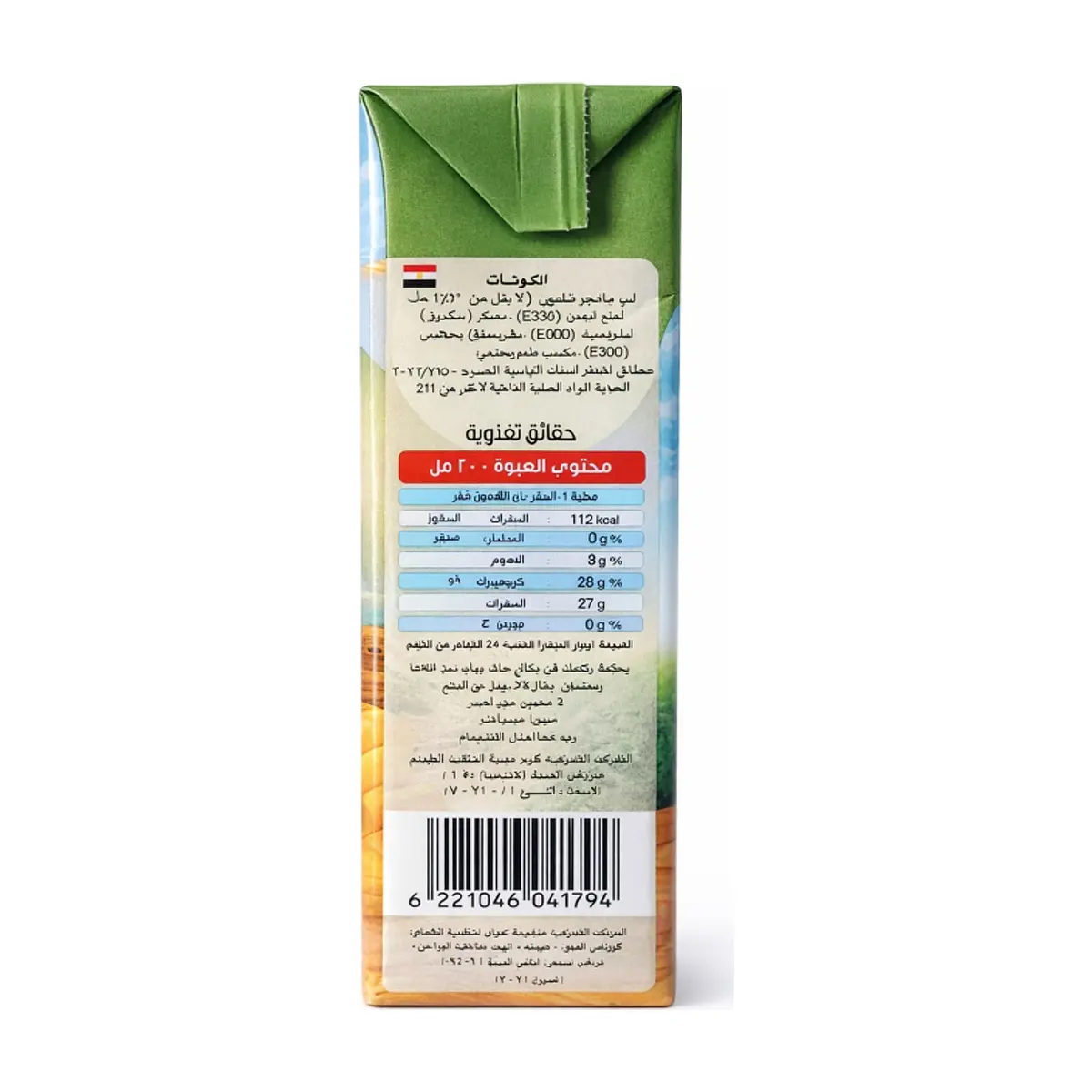Viva Mango Nectar (200 ml) - Thumbnail 3