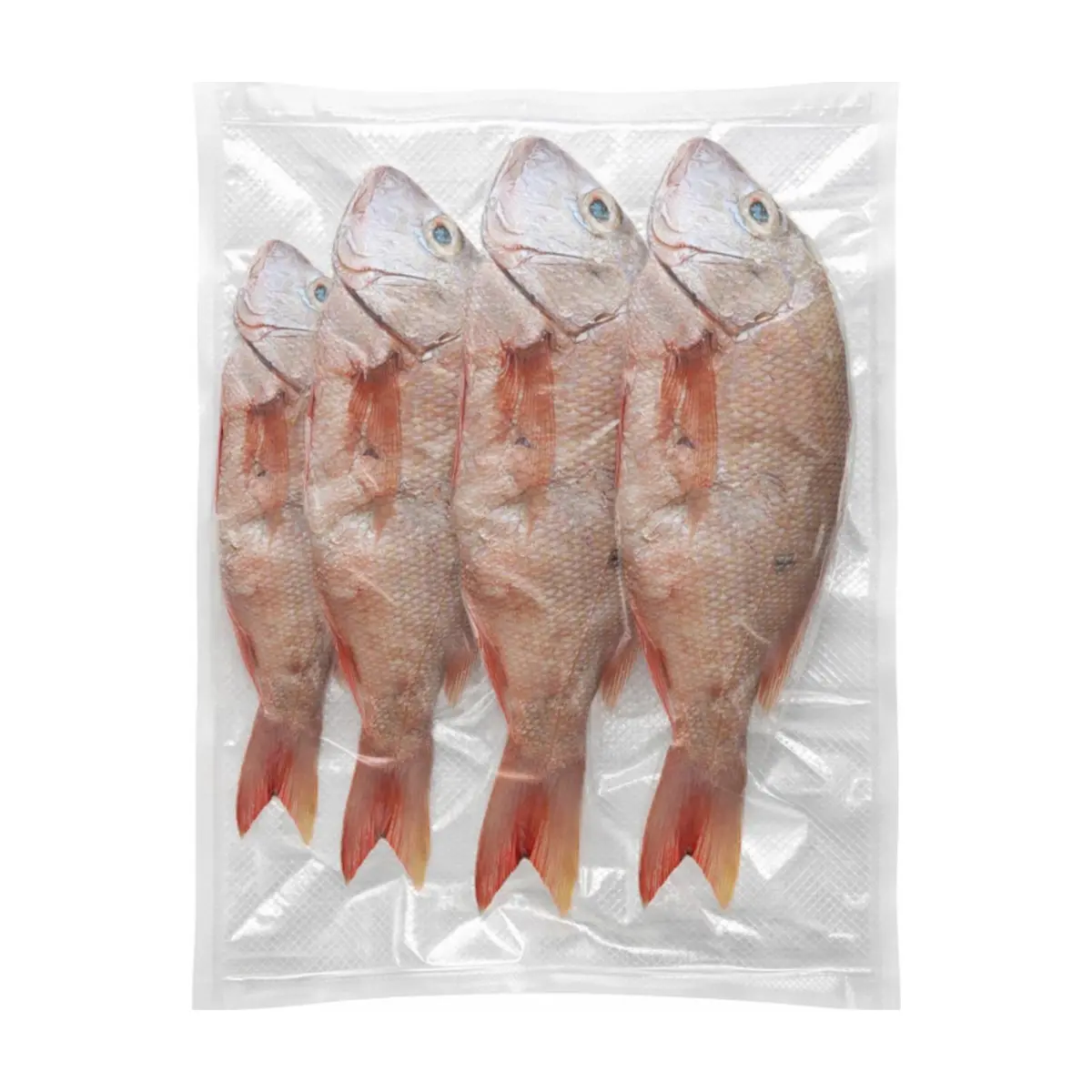 Pescado pargo rojo entero La Finca (2 kg / 4.4 lb) - Thumbnail 3