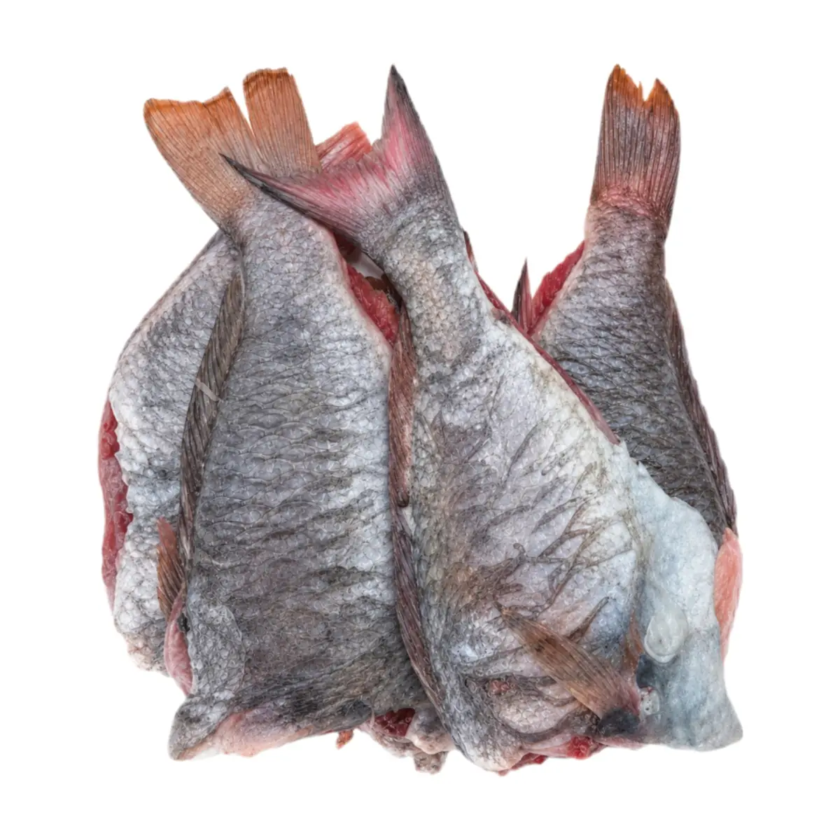 Troncho de pescado loro La Finca (454 g / 1 lb)