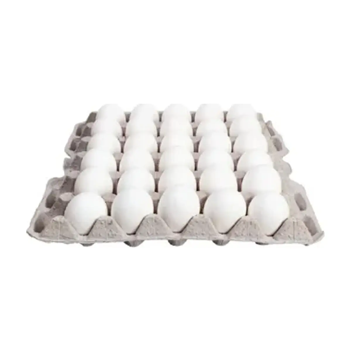 Carton de Huevos 30u