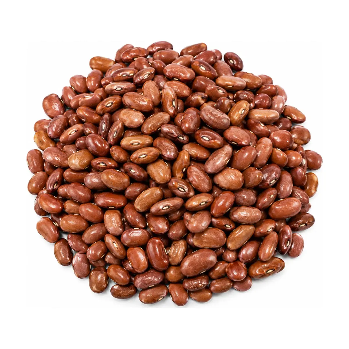 Frijoles bayos Los Meneses (200 g / 7.05 oz) - Miniatura 3