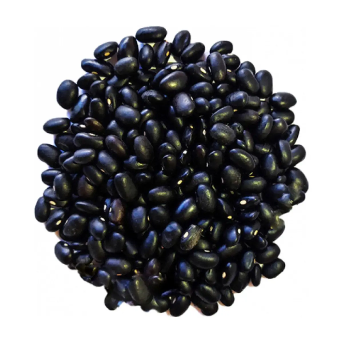 Frijoles negros Campo Vivo (4 x 2.26 kg / 5 lb) - Thumbnail 2